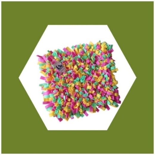 pack regulación pack regulación