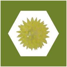 pack viaje pack viaje