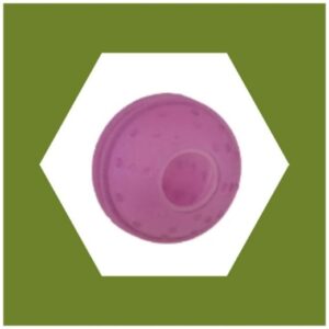 pelota tipo kong simple