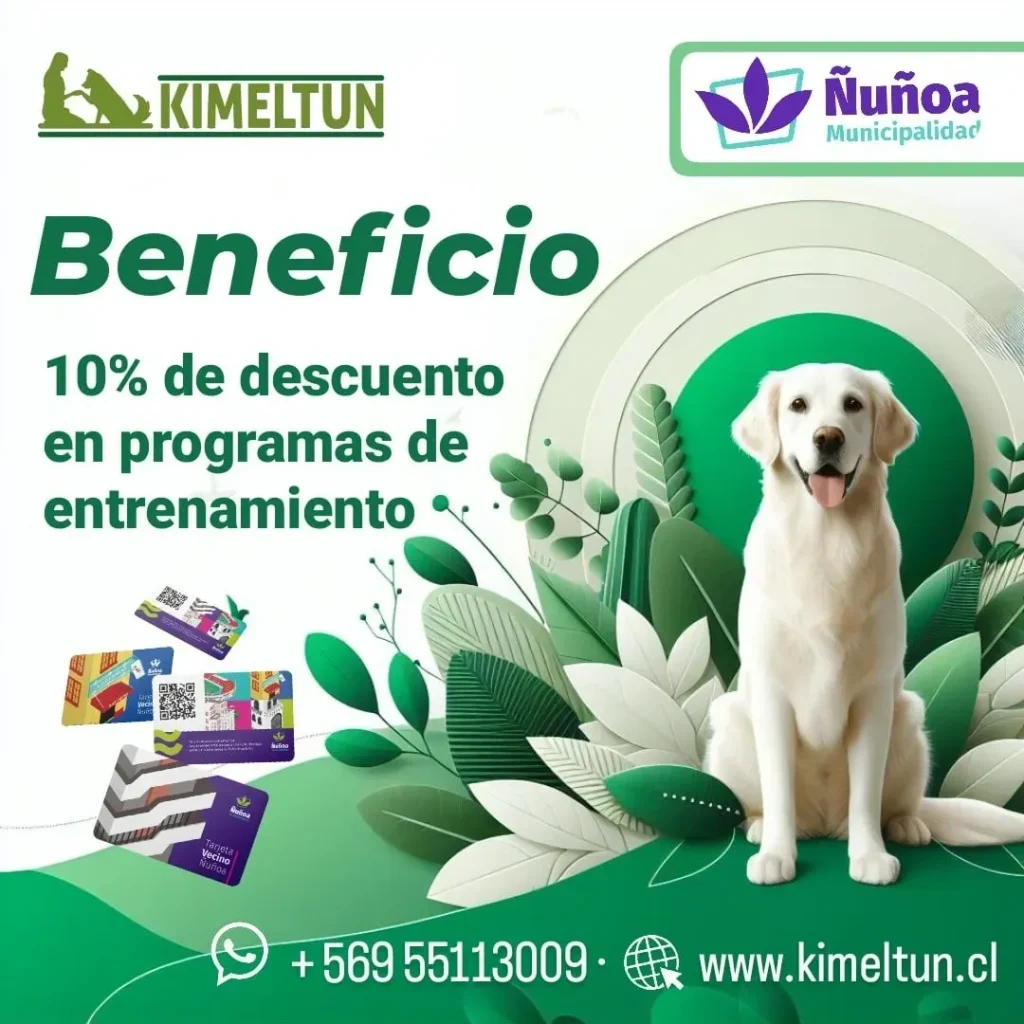 rs=w 1080,cg true (1)