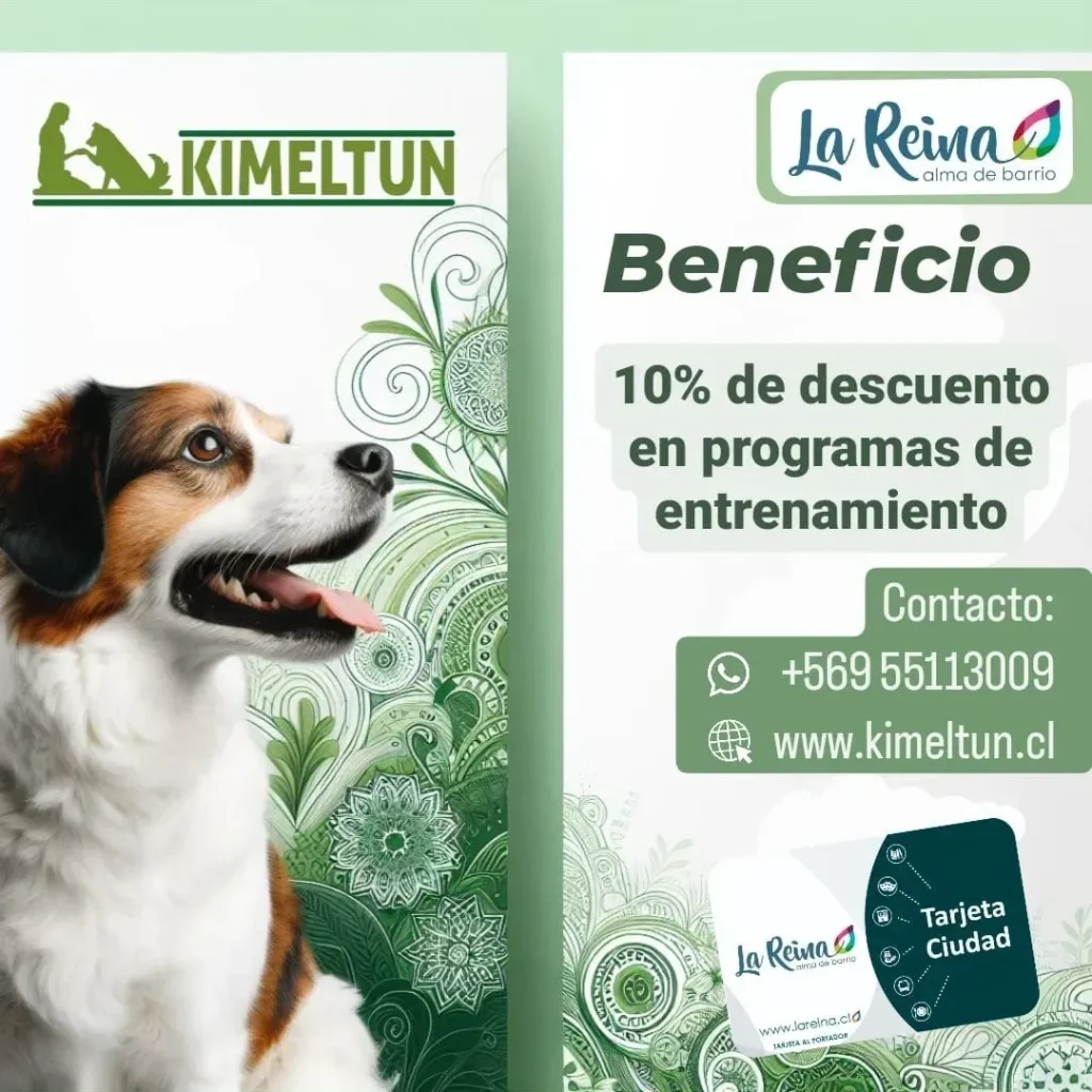 rs=w 1080,cg true,m (2)