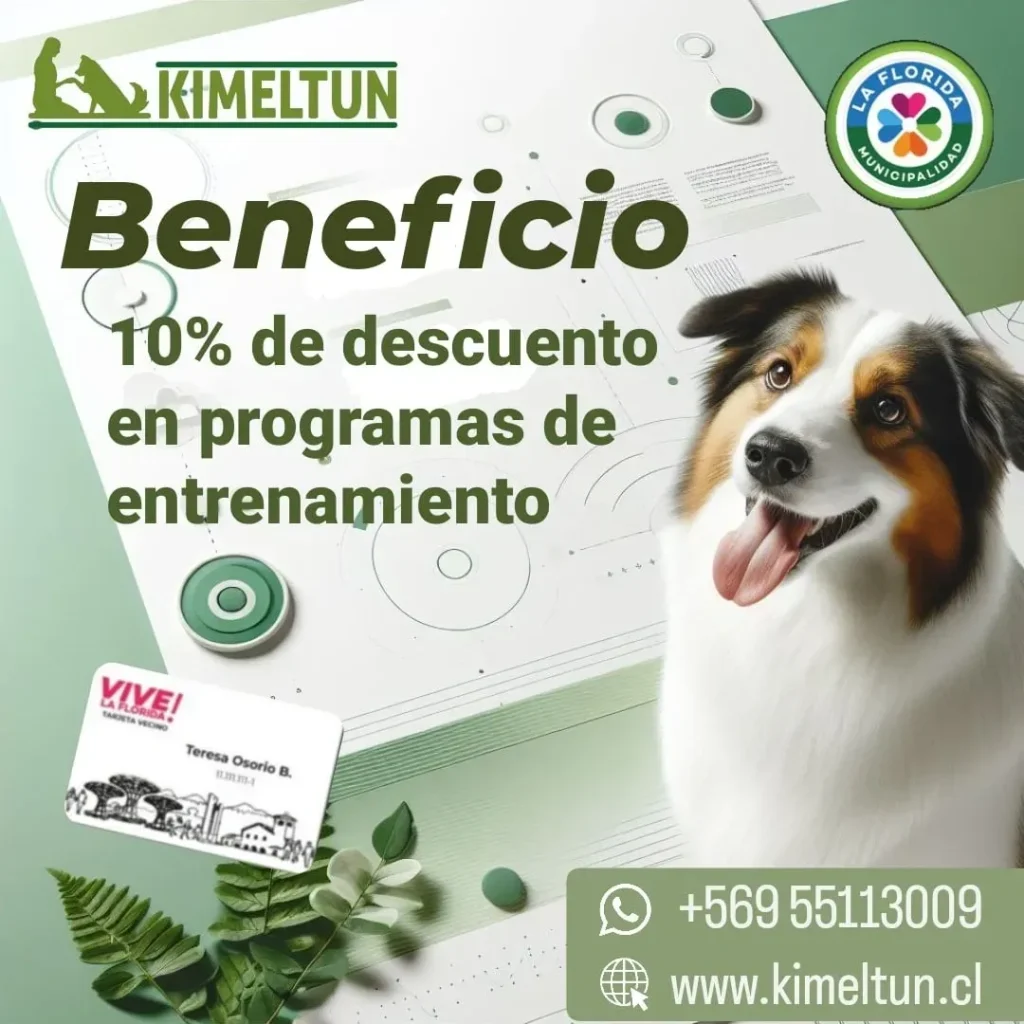 rs=w 1080,cg true,m (3)