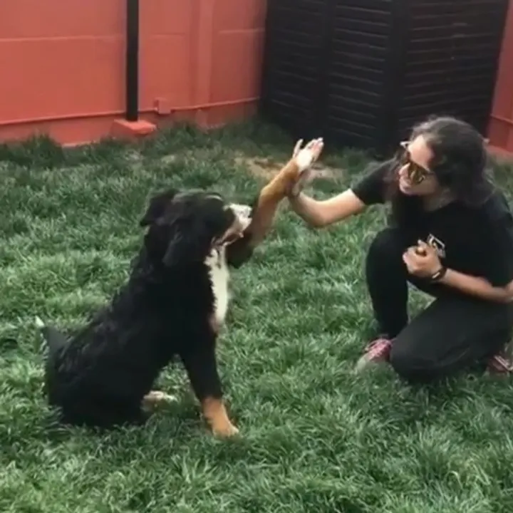 rs=w 720,h 720,cg true,m