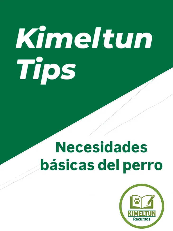 rs=w 730,h 973,cg true (1)