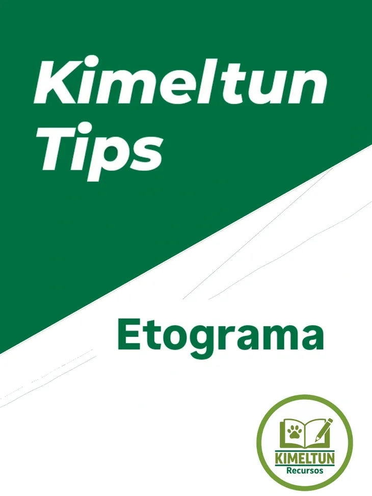 rs=w 730,h 973,cg true (2)