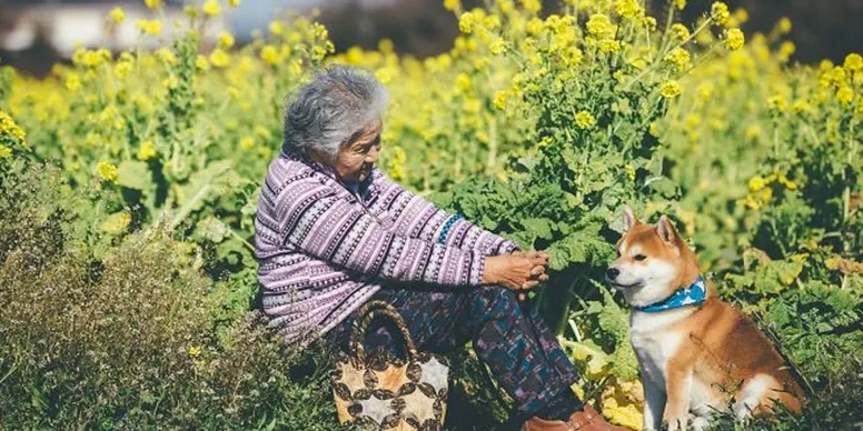 rs=w 776,h 388,cg true (1)