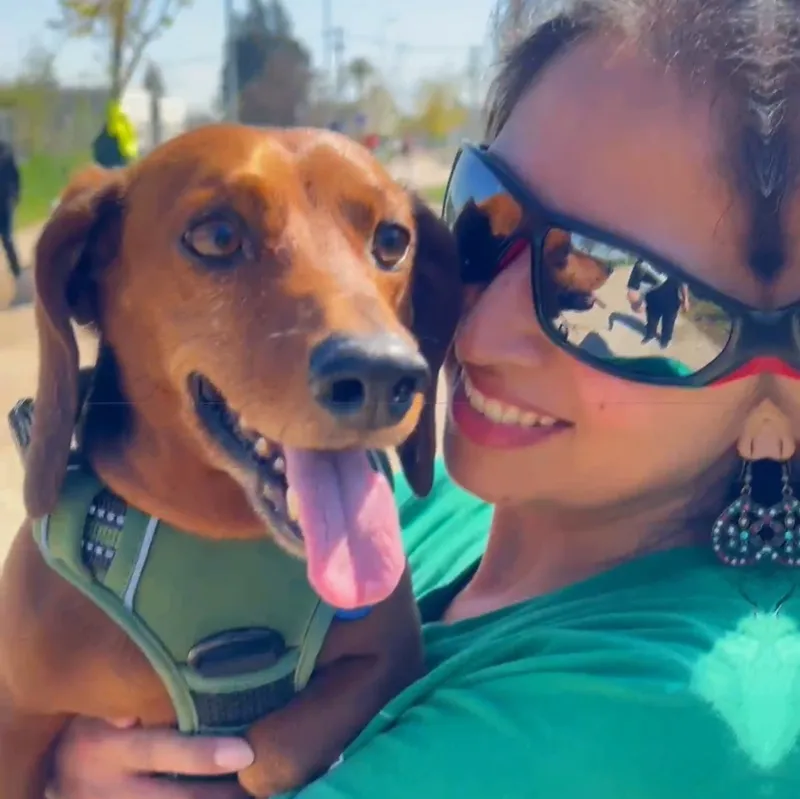 rs=w 800,h 800,cg true (1)