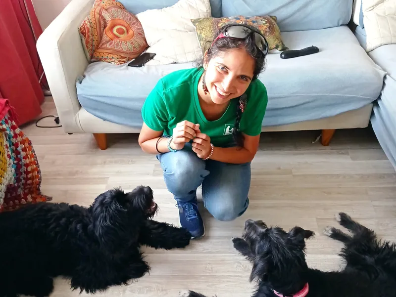 rs=w 800,h 602,cg true (1)