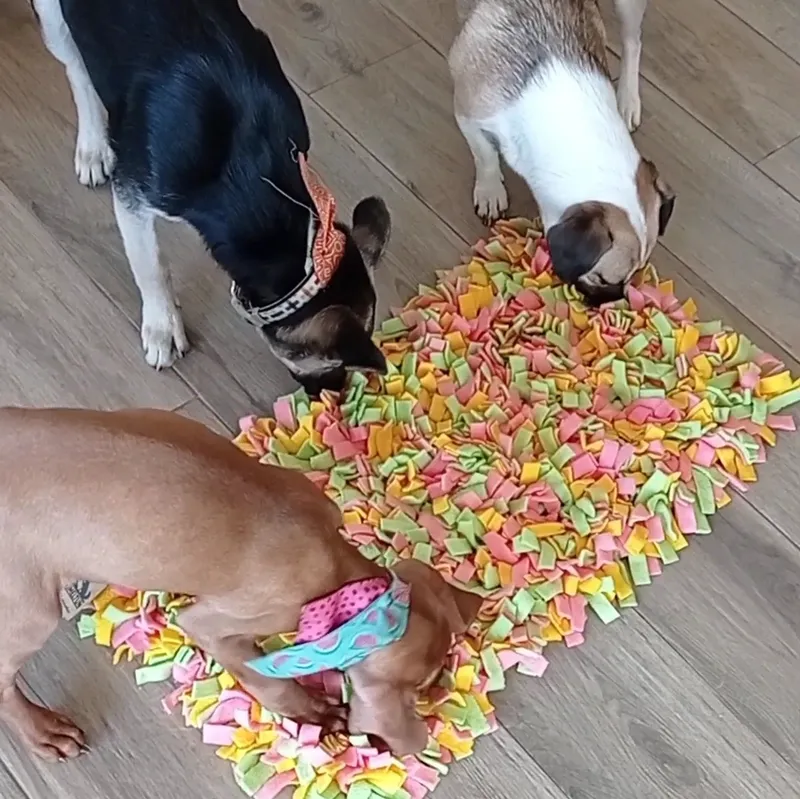 rs=w 800,h 800,cg true (2)