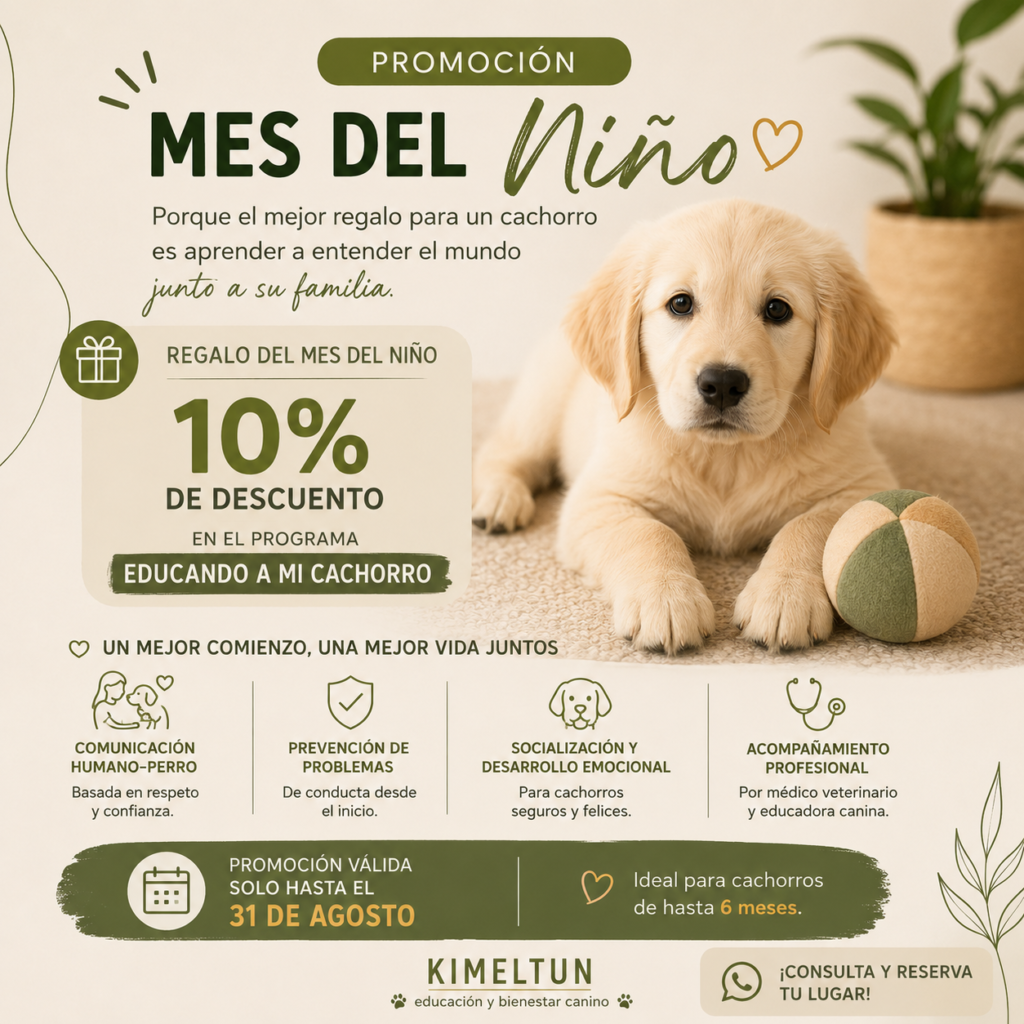 Agenda abierta para agosto file 000000002fd8820e9db3969704780a4d