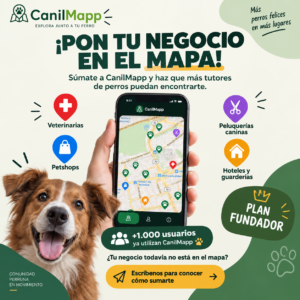 ilustracin+20260908