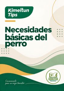 ilustracin+20260927+12363003501054103834.