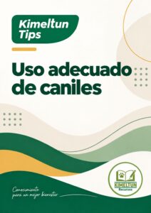 ilustracin+20260927+28736019488568004364.